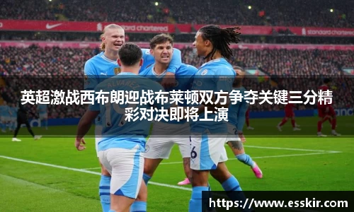 英超激战西布朗迎战布莱顿双方争夺关键三分精彩对决即将上演
