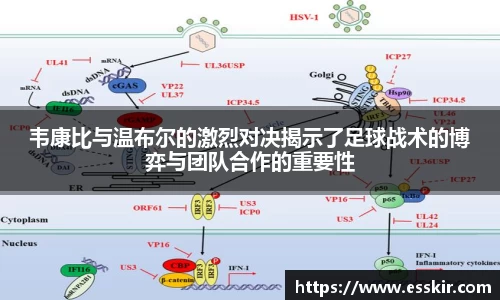 韦康比与温布尔的激烈对决揭示了足球战术的博弈与团队合作的重要性