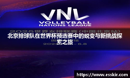 北京排球队在世界杯预选赛中的蜕变与新挑战探索之旅