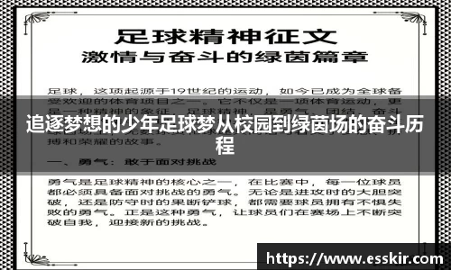 追逐梦想的少年足球梦从校园到绿茵场的奋斗历程